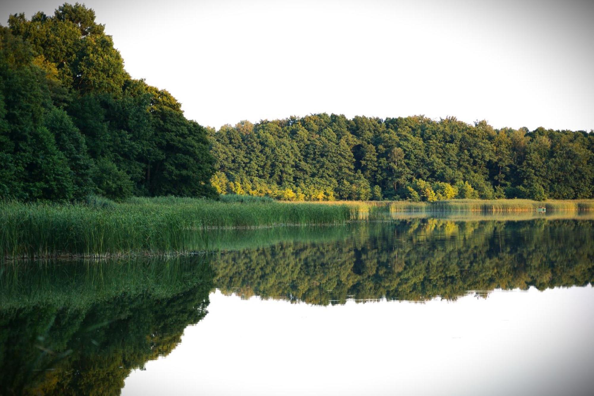 Wrzosowy Mlyn - Twoje Miejsce Nad Jeziorem Międzyrzecz Exterior foto