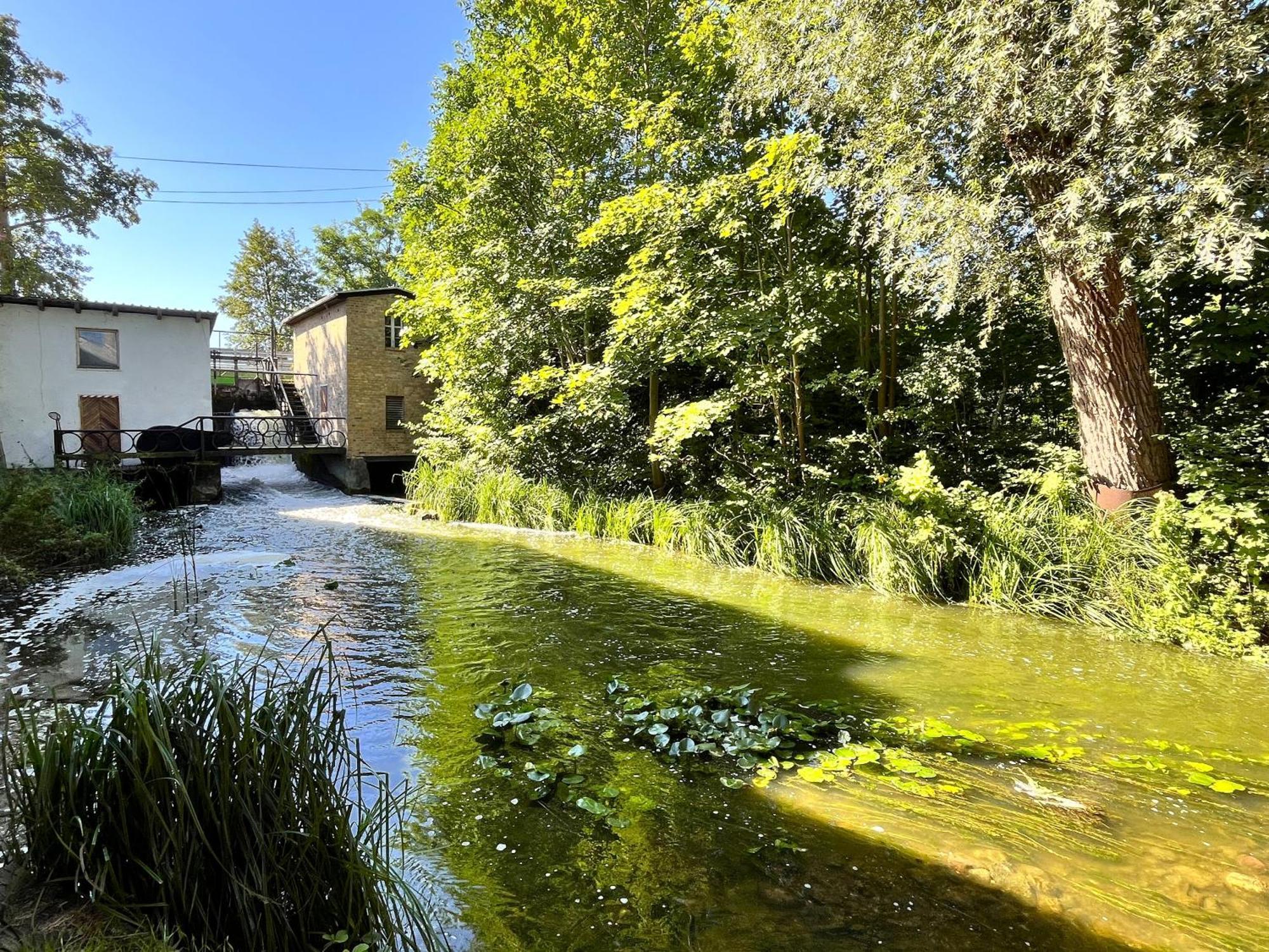 Wrzosowy Mlyn - Twoje Miejsce Nad Jeziorem Międzyrzecz Exterior foto